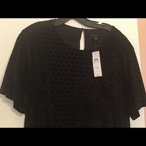 NWT Ann Taylor burned velvet dress, XXL